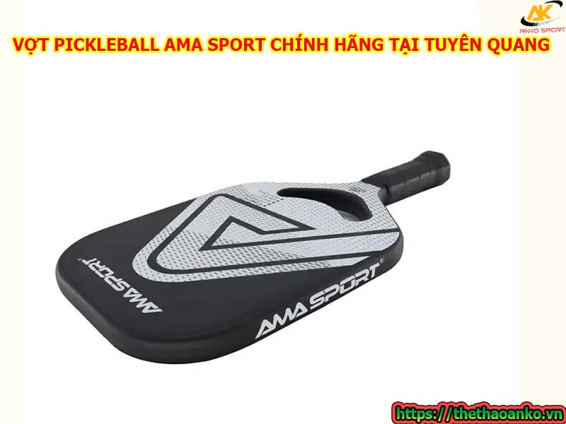 mua-vot-pickleball-ama-o-dau-chinh-hang-gia-re-tai-tuyen-quang