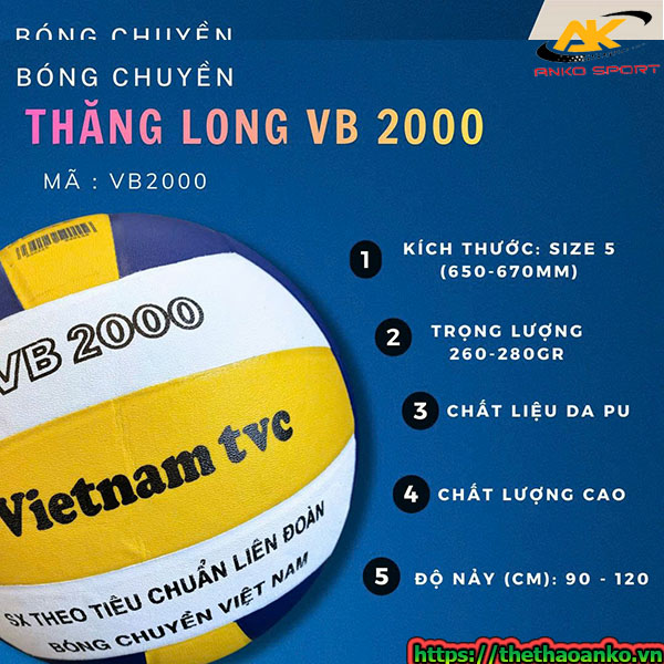 qua-bong-chuyen-thang-long-vb2000-2
