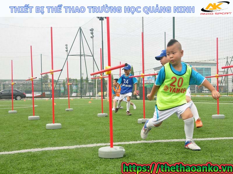 thiet-bi-the-duc-the-thao-truong-hoc-gia-re-tai-quang-ninh