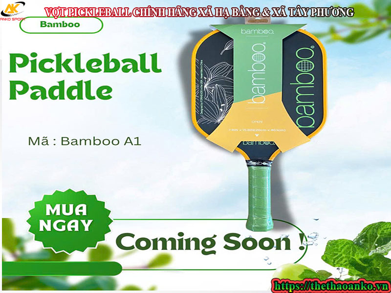 vot-pickleball-chinh-hang-ha-bang-tay-phuong-ha-noi