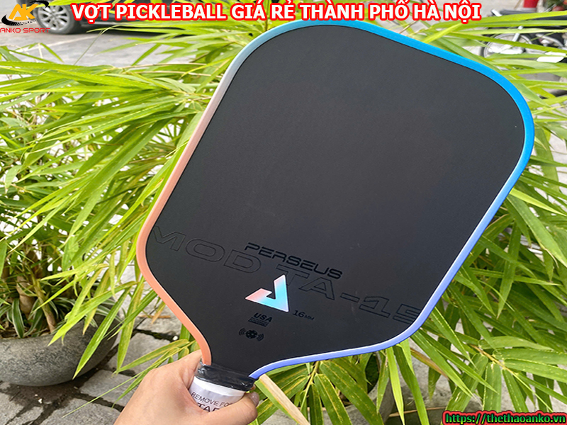 vot-pickleball-gia-re-thanh-pho-ha-noi