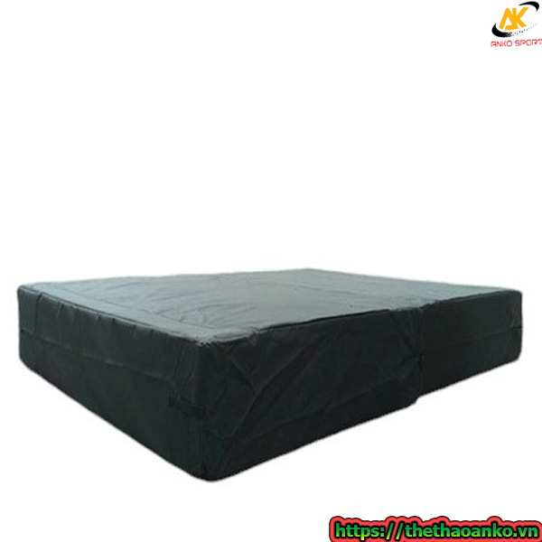 Đệm nhảy cao 201602