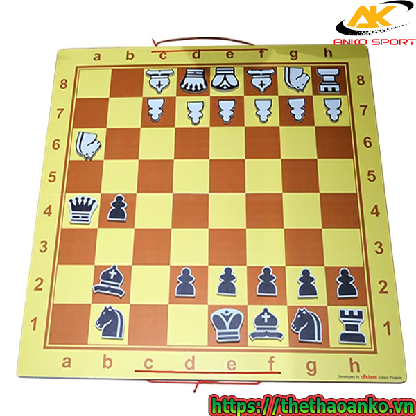 Bàn cờ vua treo tường giảng dạy