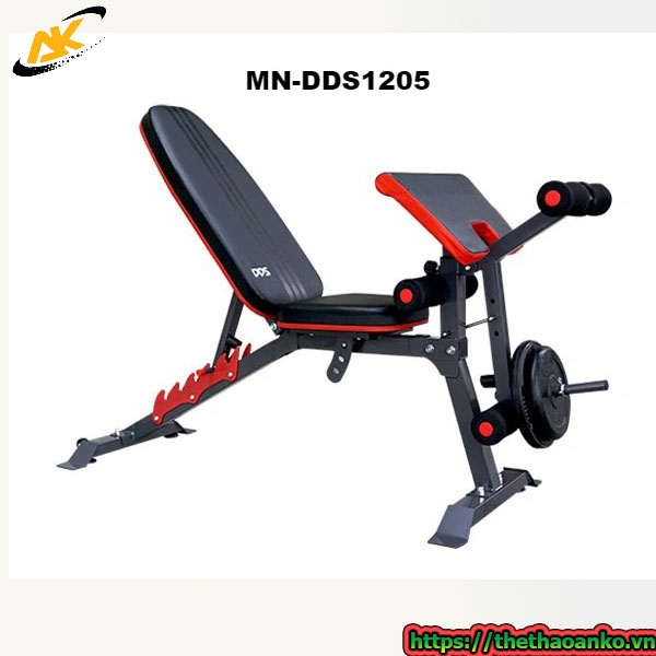 Ghế tập Gym đa năng DDS-1205