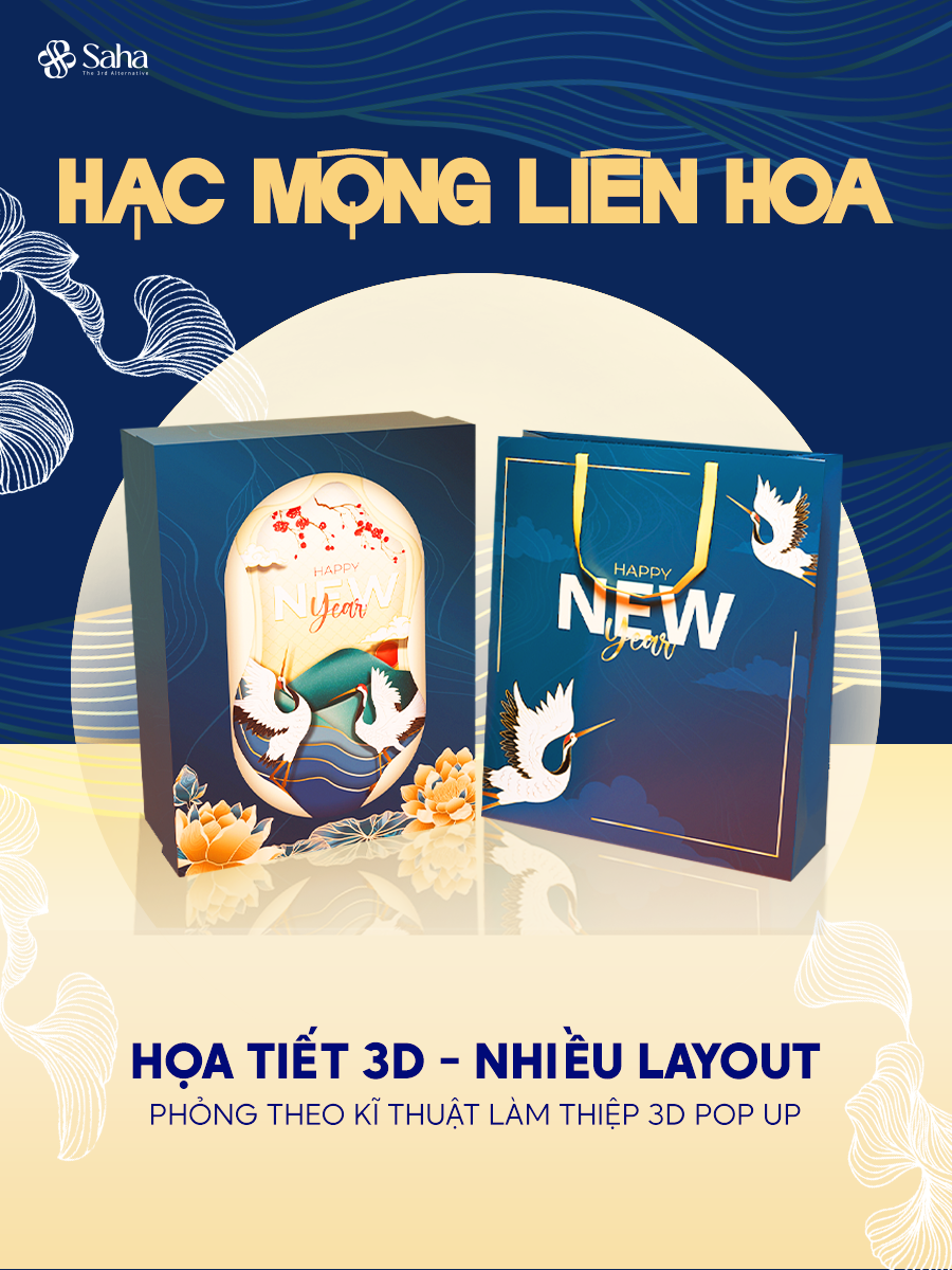 Hộp Đựng Quà Tết SAHA Kèm Túi Size 30*40*10cm