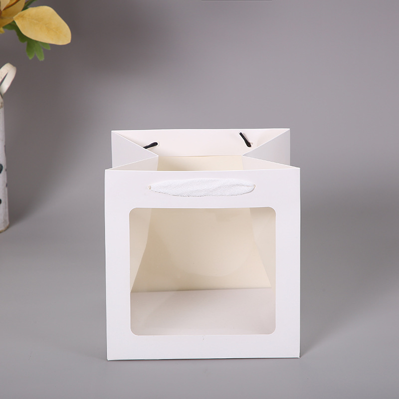 Túi giấy cửa sổ hình vuông thiết kế kiểu Carton 2D