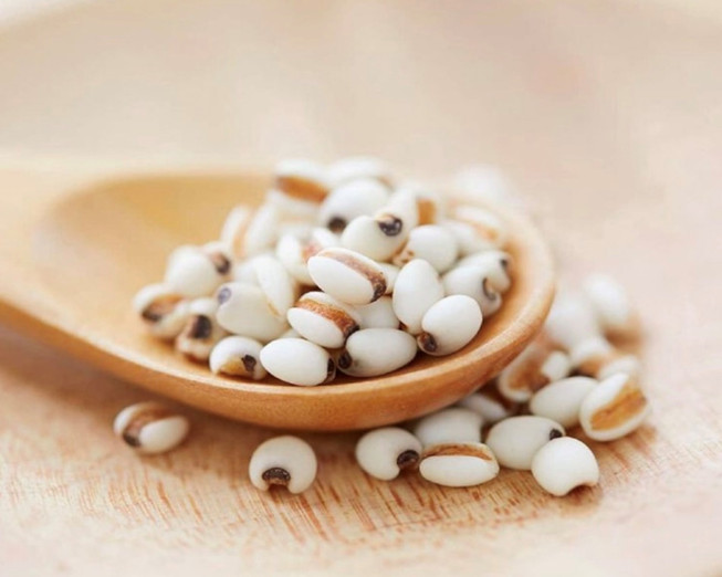 SỮA TẮM TRẮNG SÁNG DA HATOMUGI CHIẾT XUẤT HẠT Ý DĨ 800 ML (HATOMUGI MOISTURIZING WASHING)