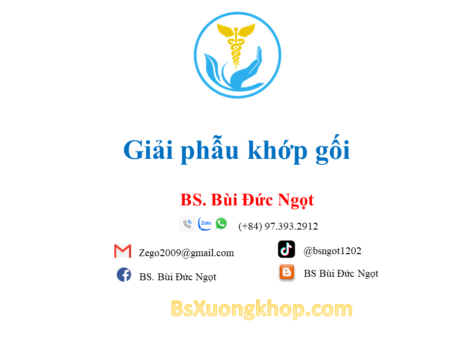 Các cấu trúc giải phẫu bình thường khớp gối