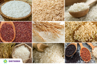 Giá trị dinh dưỡng của các loại hạt ngũ cốc