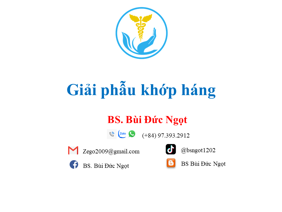 Giải phẫu khớp háng