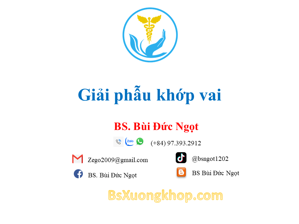 Giải phẫu khớp vai