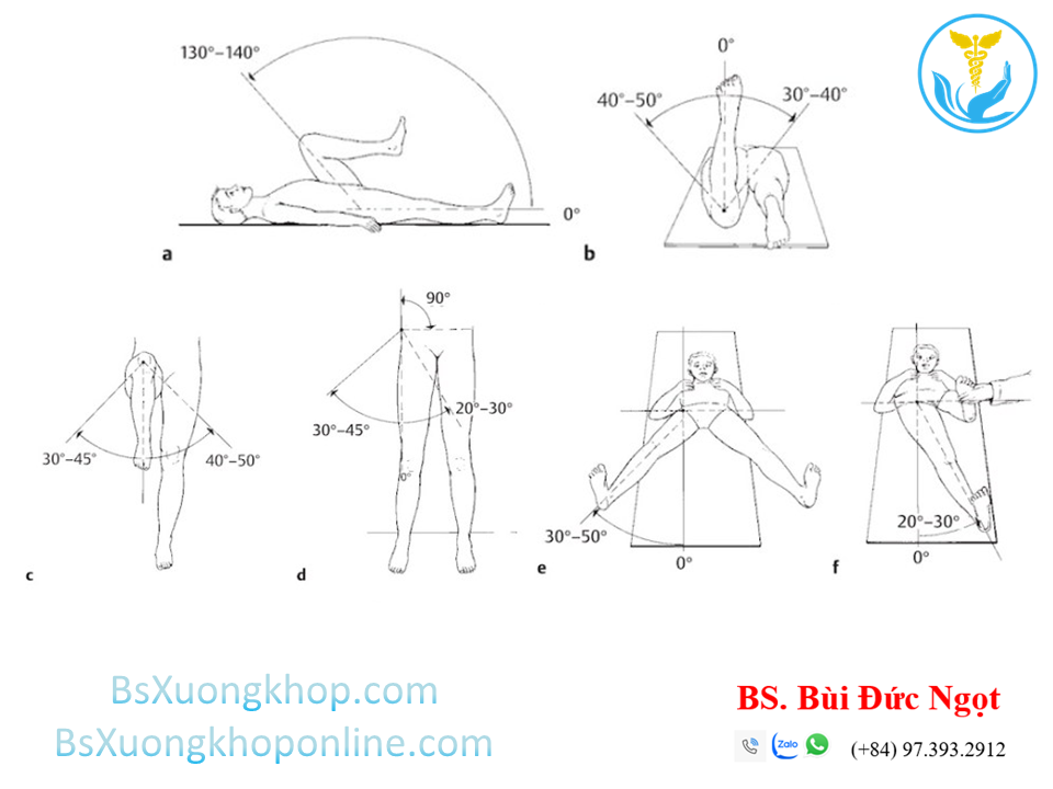 Các động tác của khớp háng