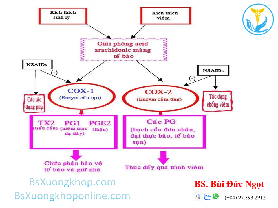 Thuốc chống viêm không steroid (NSAID) là gì? Tác dụng & lưu ý ||| BsXuongkhop.com