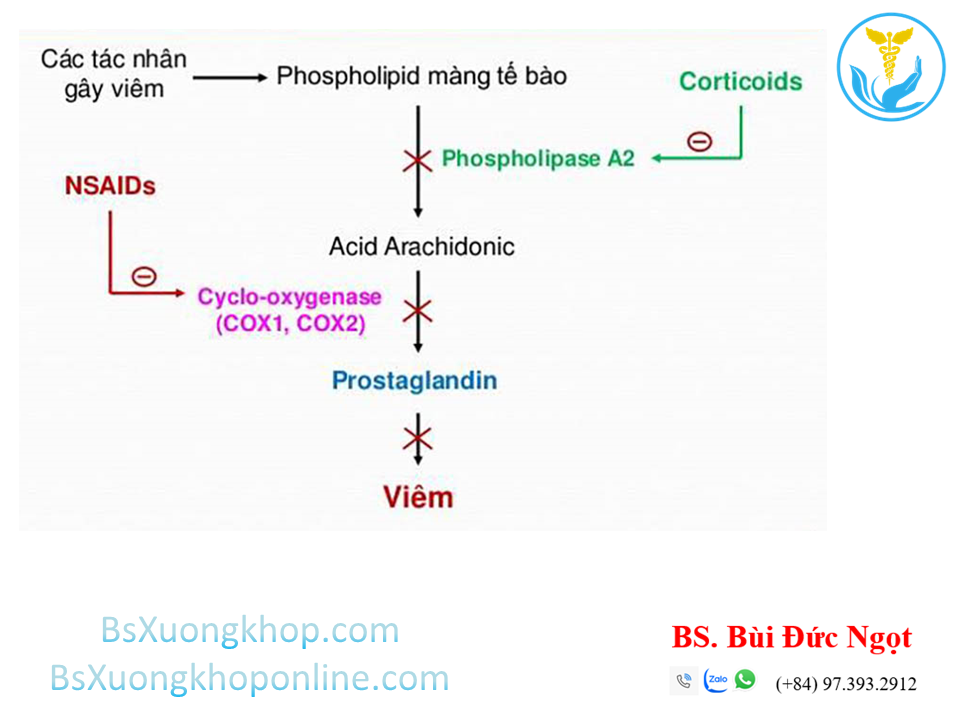 Thuốc chống viêm ||| BSXuongkhop.com
