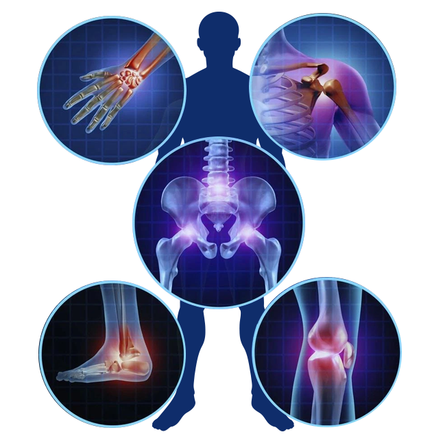 Bệnh lý nổi bật