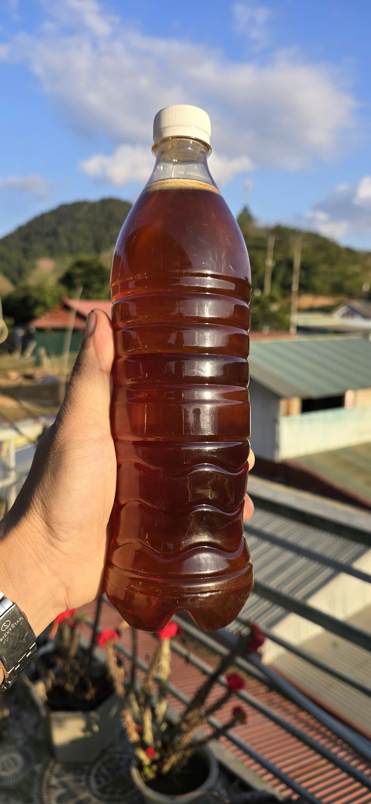 Mật Ong nhãn nguyên chất