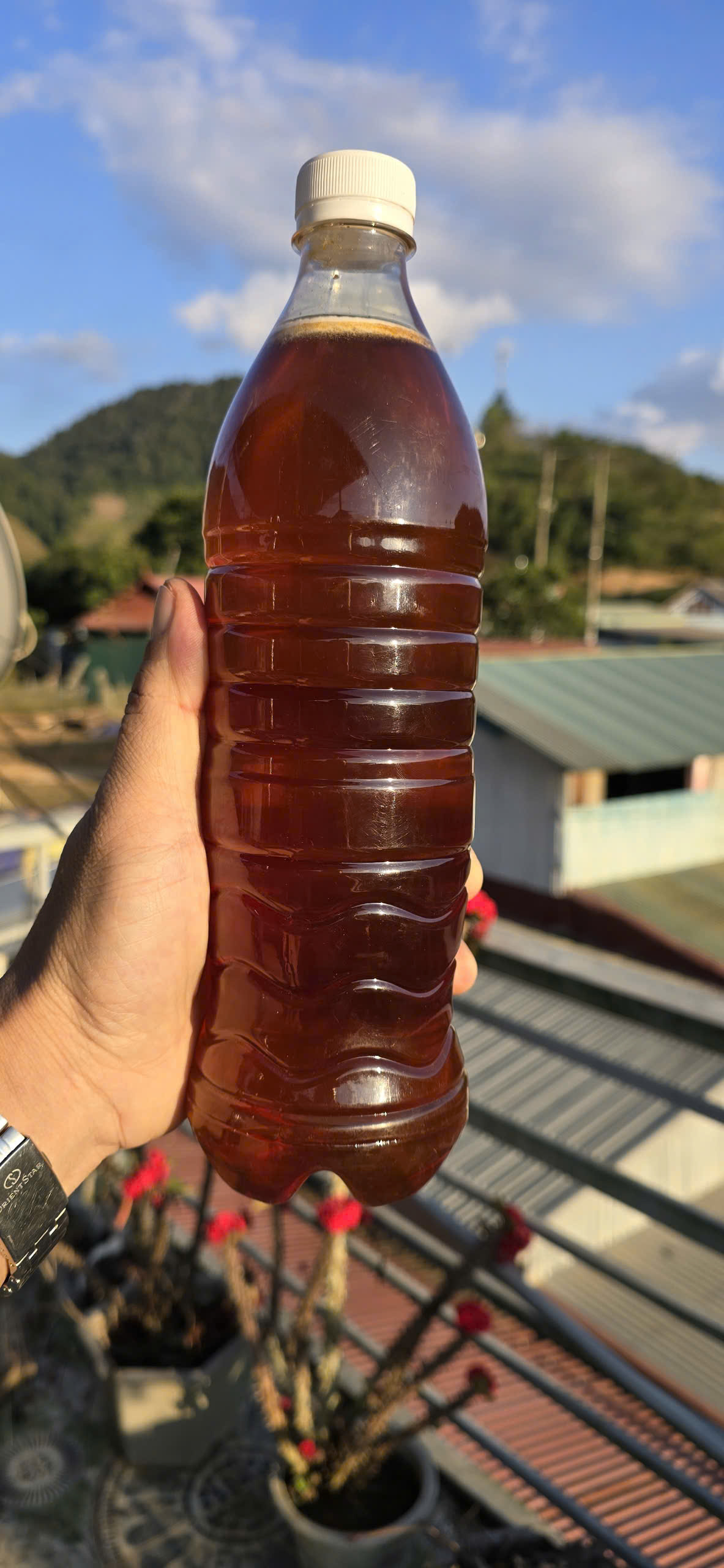 Mật Ong nhãn nguyên chất