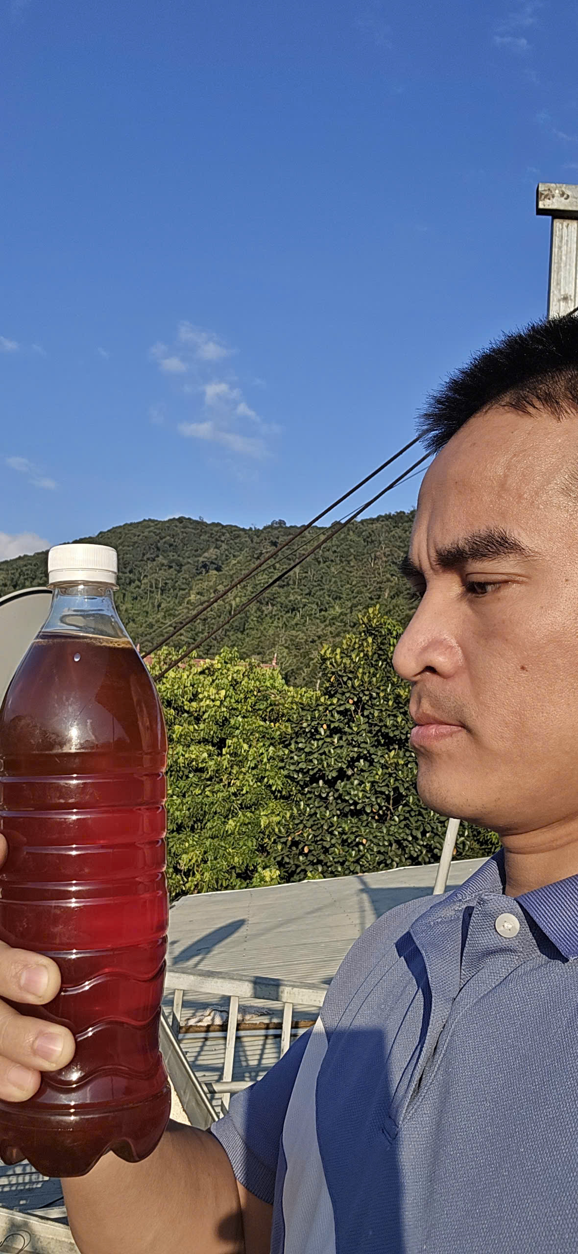 Mật Ong nhãn nguyên chất