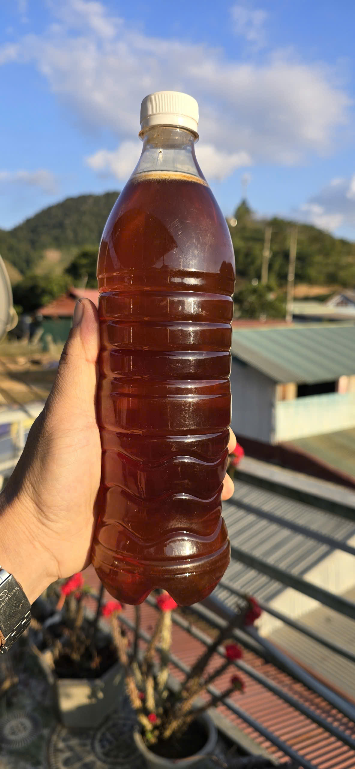 Mật Ong nhãn nguyên chất