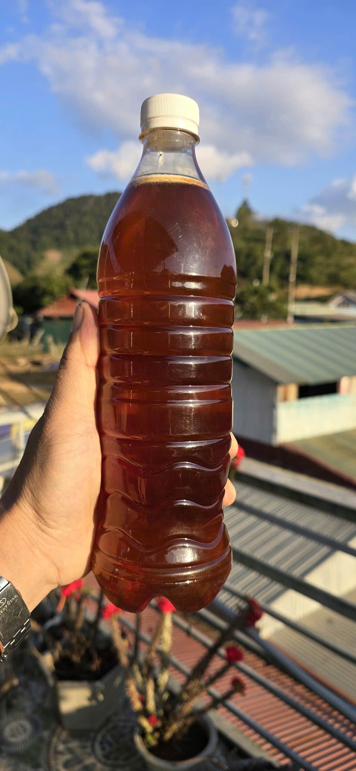 Mật Ong nhãn nguyên chất