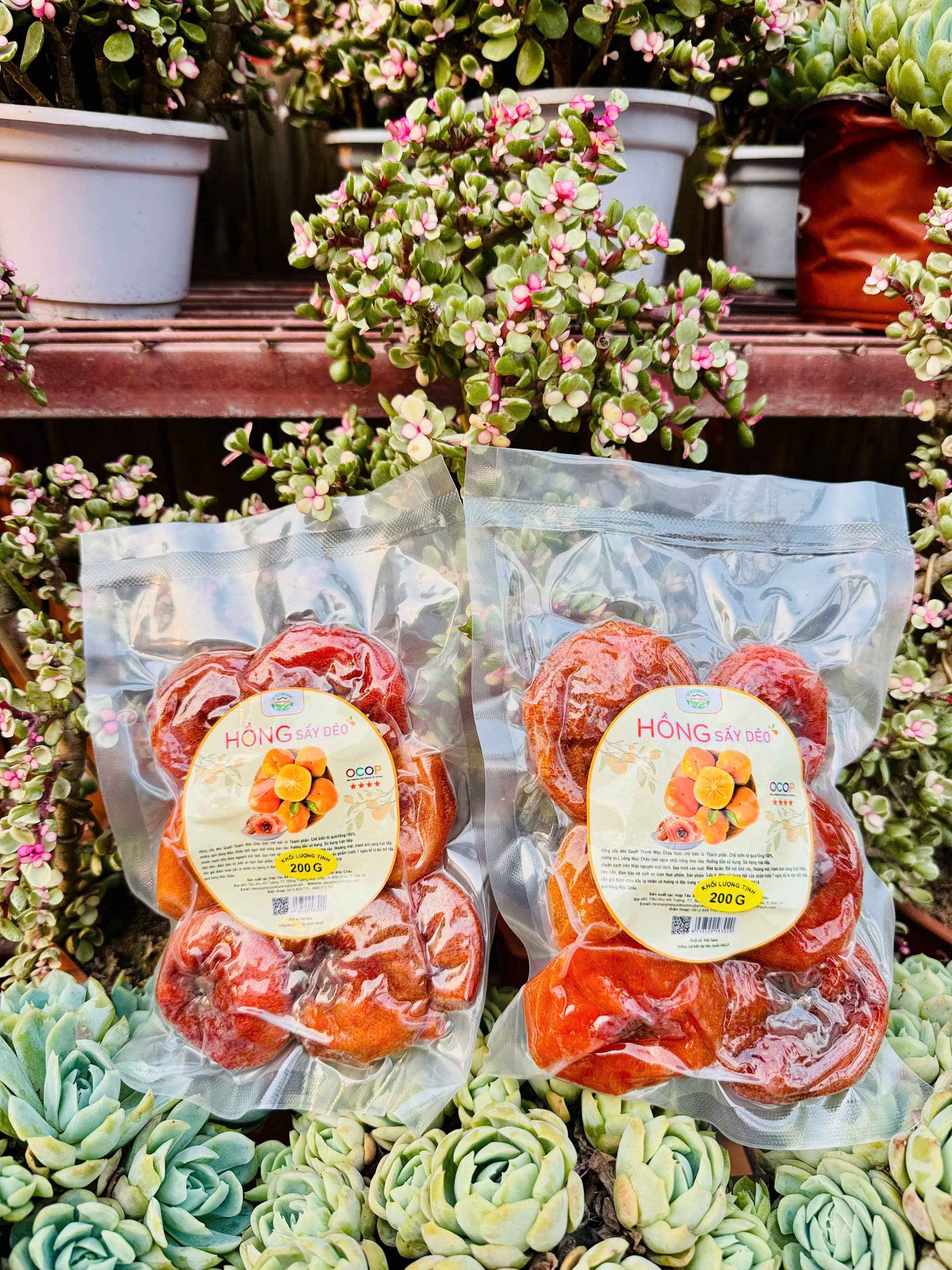 Hồng Sấy Dẻo Ocop