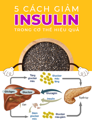 5 cách giảm insulin trong cơ thể hiệu quả