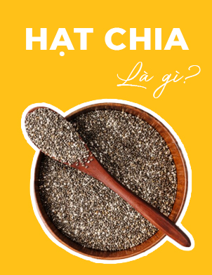 Hạt chia là gì? Lợi ích và cách dùng hạt chia