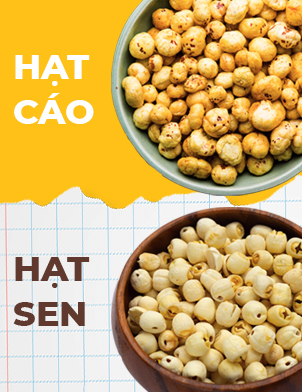 So sánh Hạt sen và Hạt Makhana (Hạt cáo)