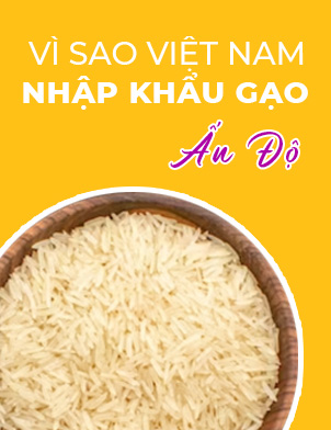 Vì sao Việt Nam nhập khẩu gạo Ấn Độ?