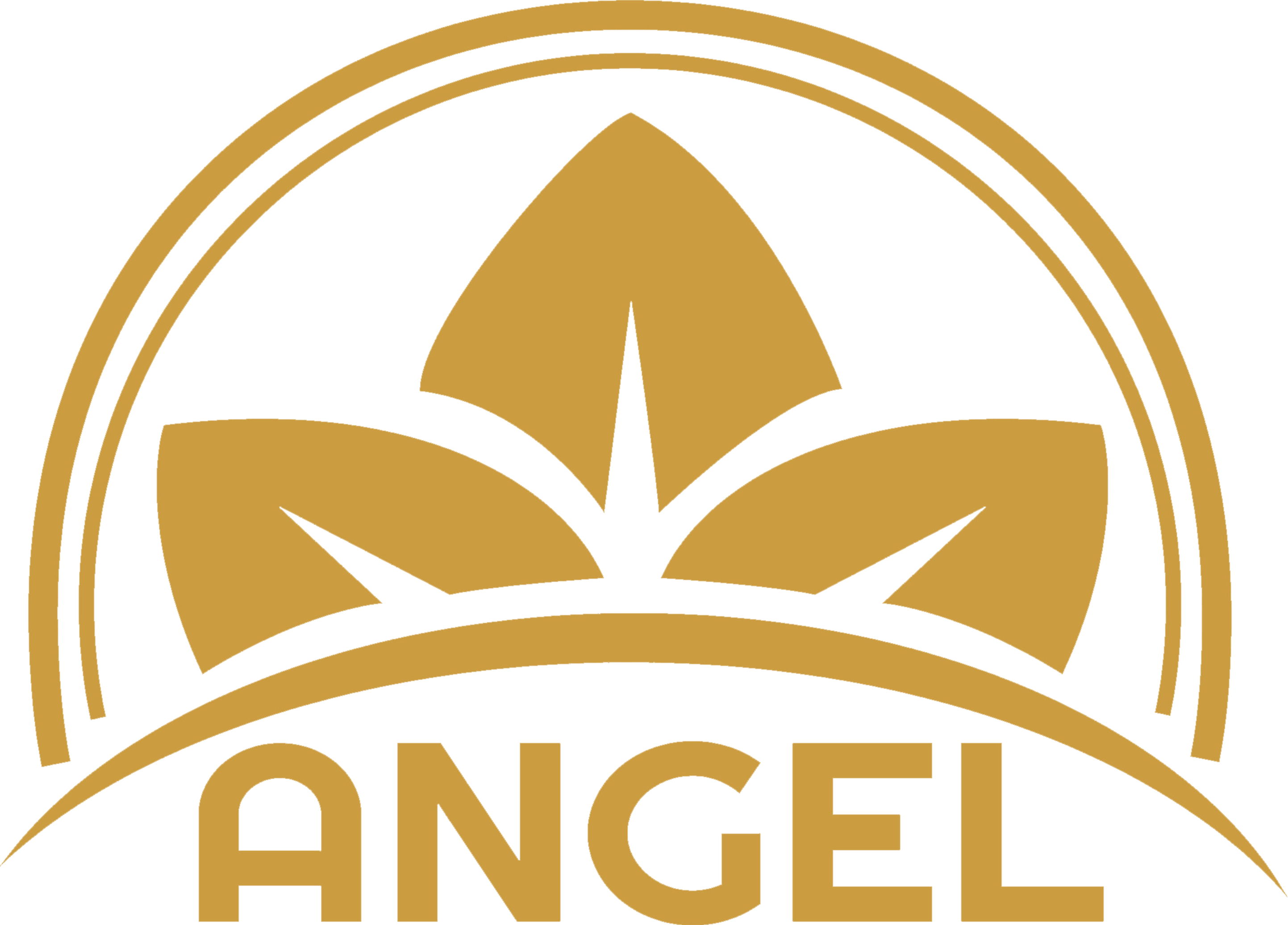 Angel Fine Foods