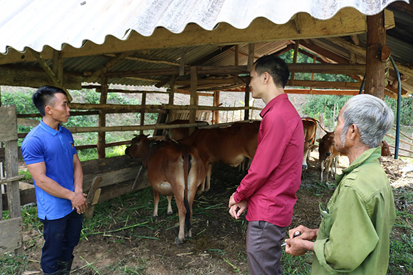 Nghệ An: Chàng trai người Khơ Mú giàu nghị lực vượt khó ở Kỳ Sơn