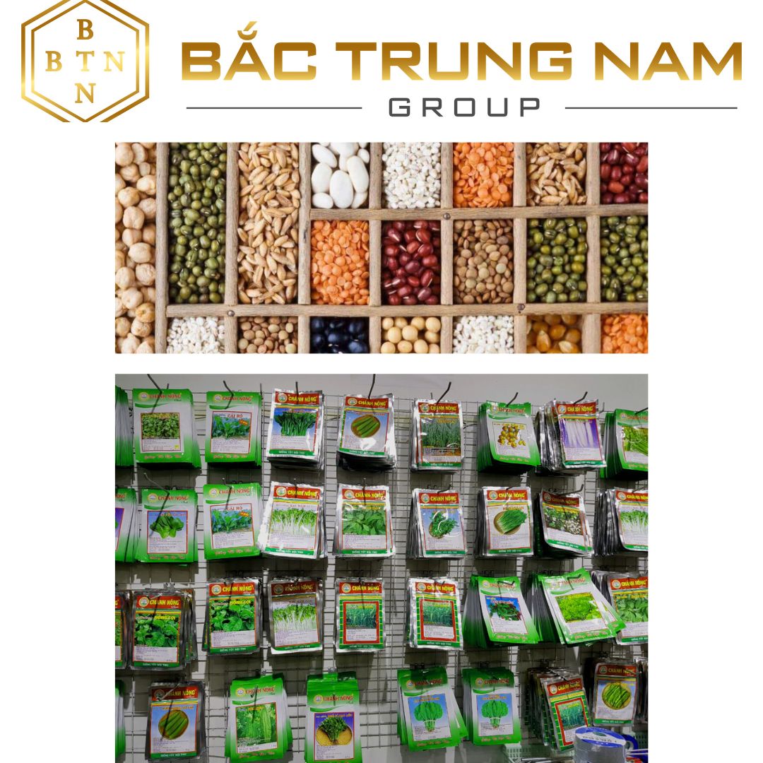 Hạt giống