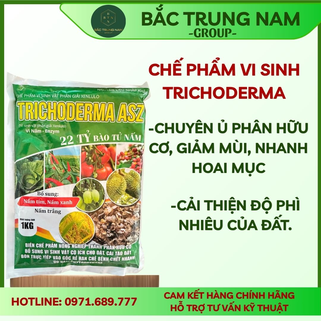 Chế phẩm vi sinh Trichoderma – Chuyên ủ phân hữu cơ, giảm mùi, nhanh hoai mục