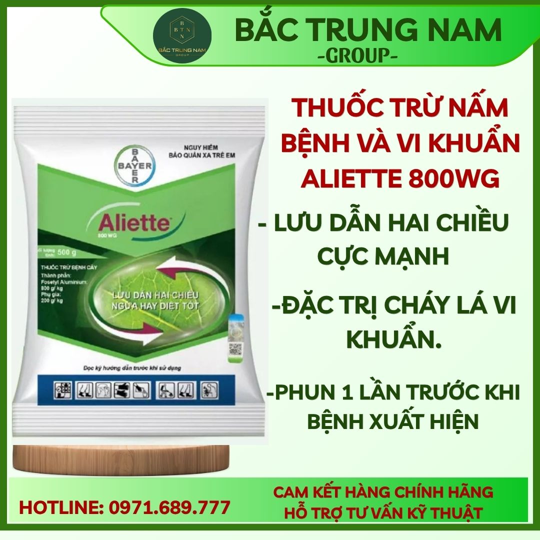 Thuốc Trừ Bệnh Thối Quả Aliette 800Wg 100G