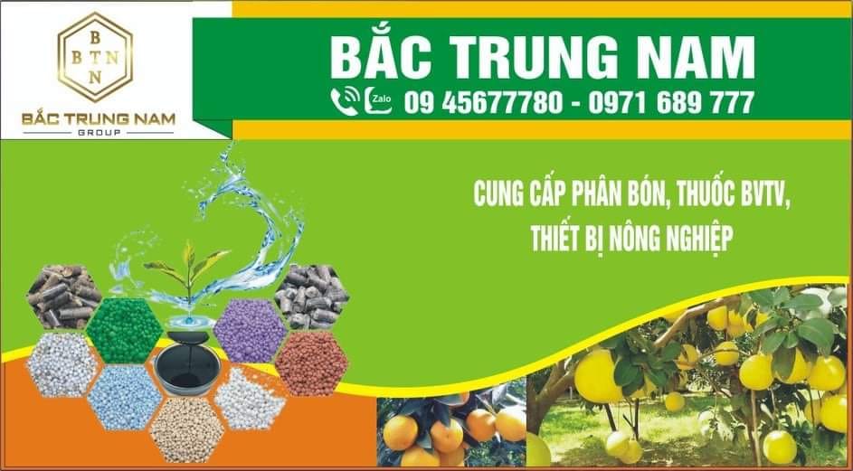 Ảnh banner