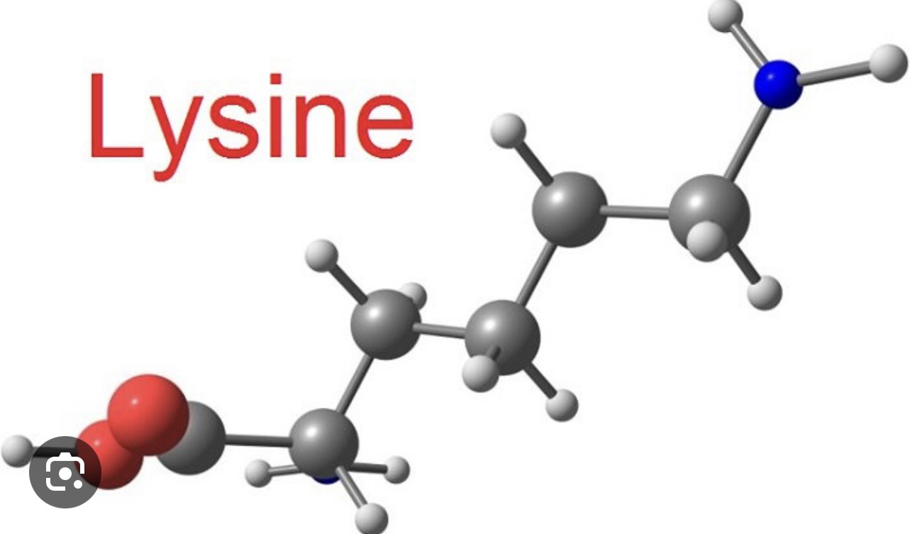 Bổ sung Lysine cho trẻ như thế nào?