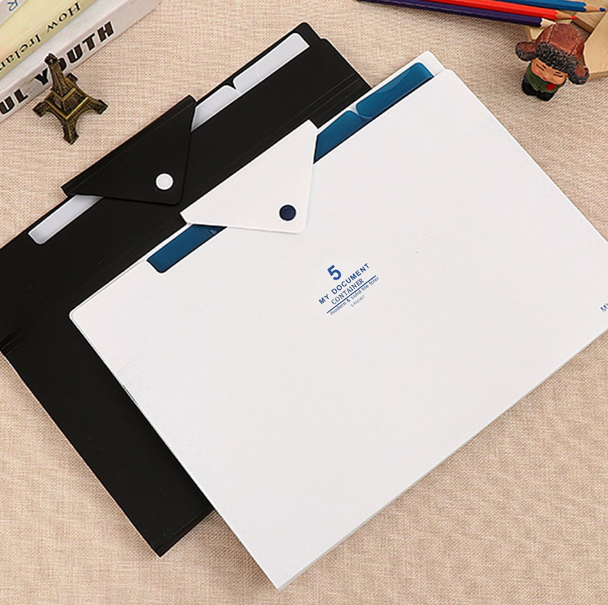 Plastic [Reference Design] Document File with Index Tabs for Easy Organization