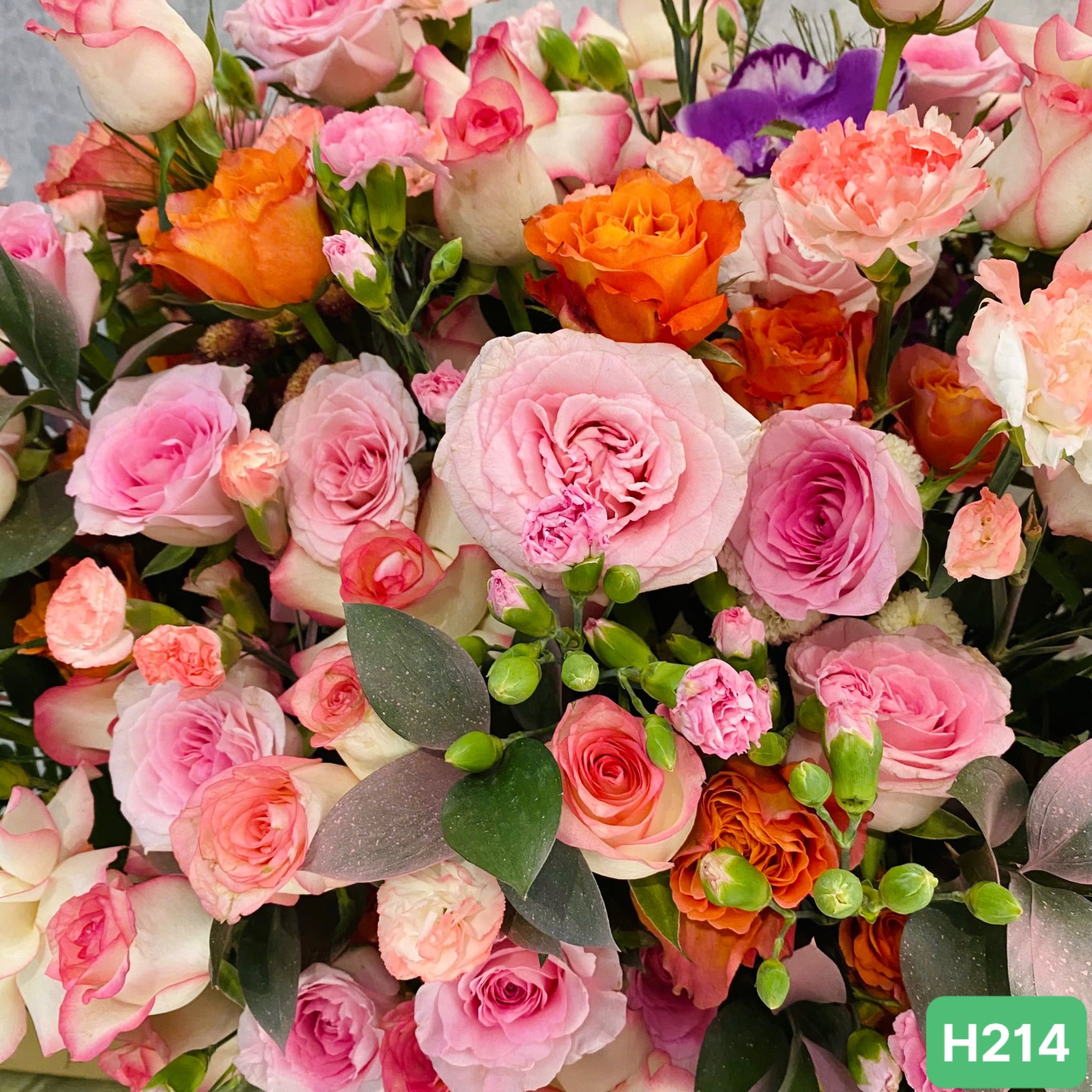 H214