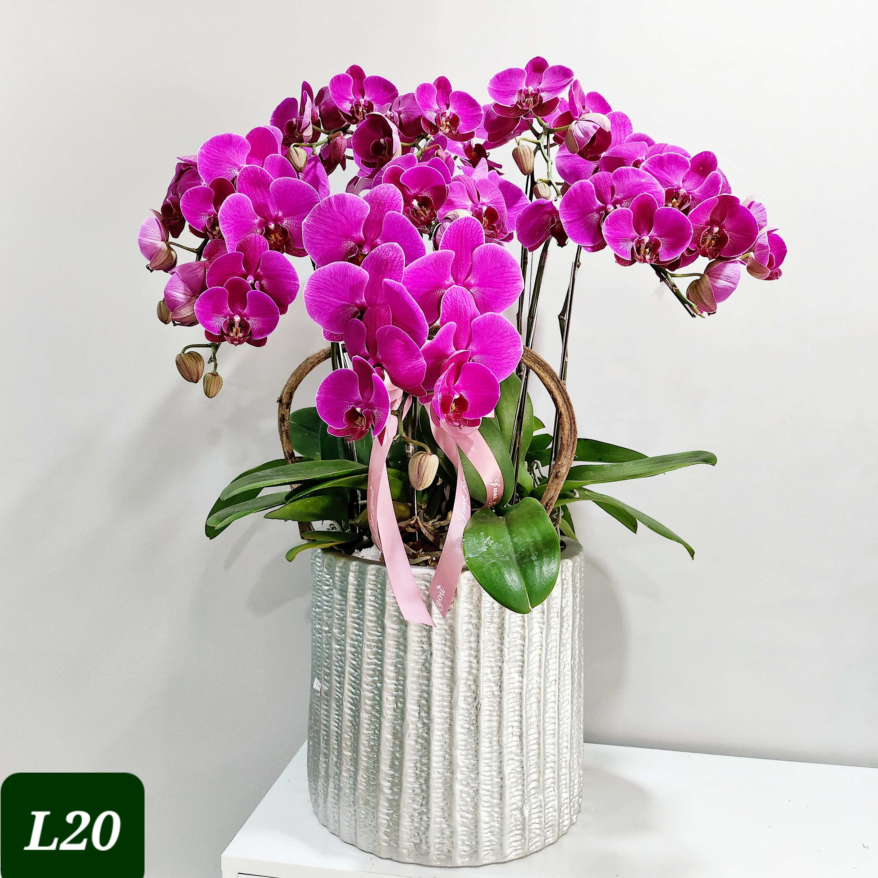 L20 Thiết kế Hiện Đại