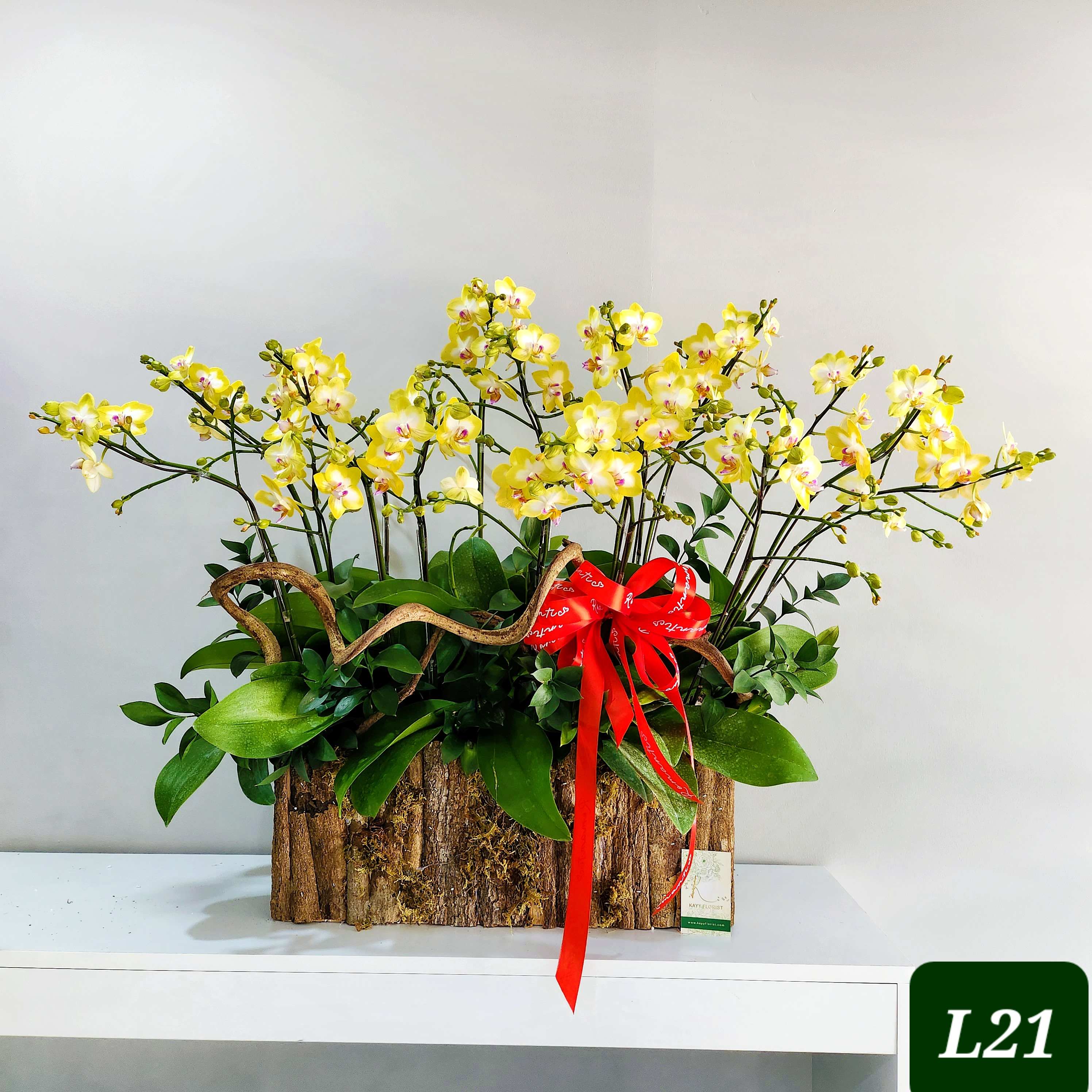 L21 Thiết kế Hiện Đại