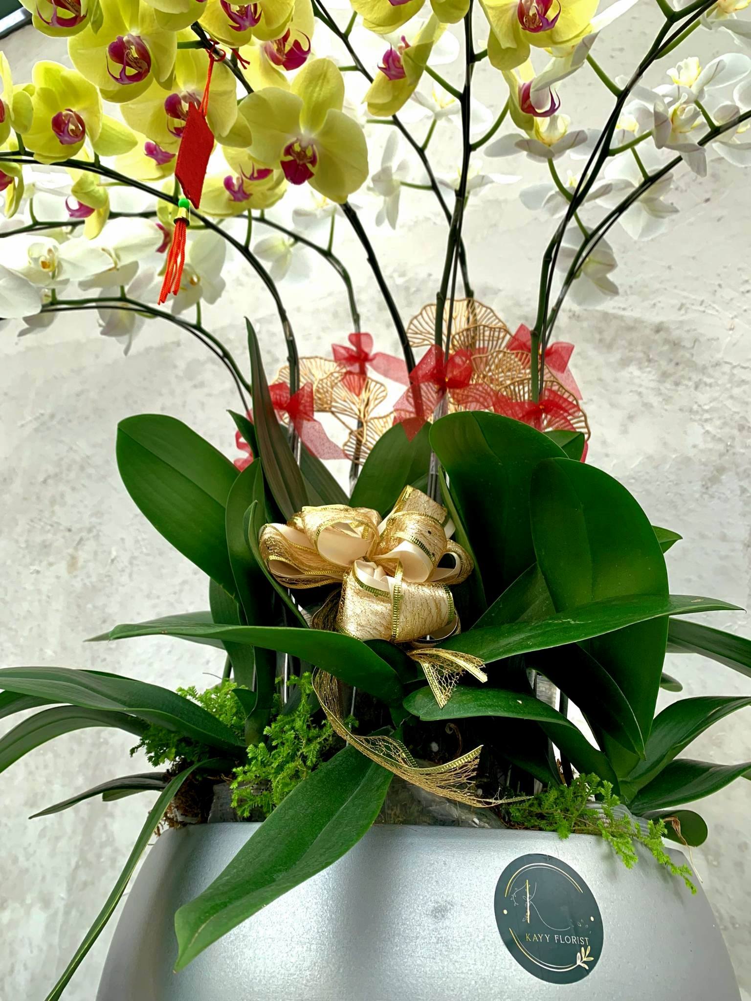 L10 Thiết kế Hiện Đại