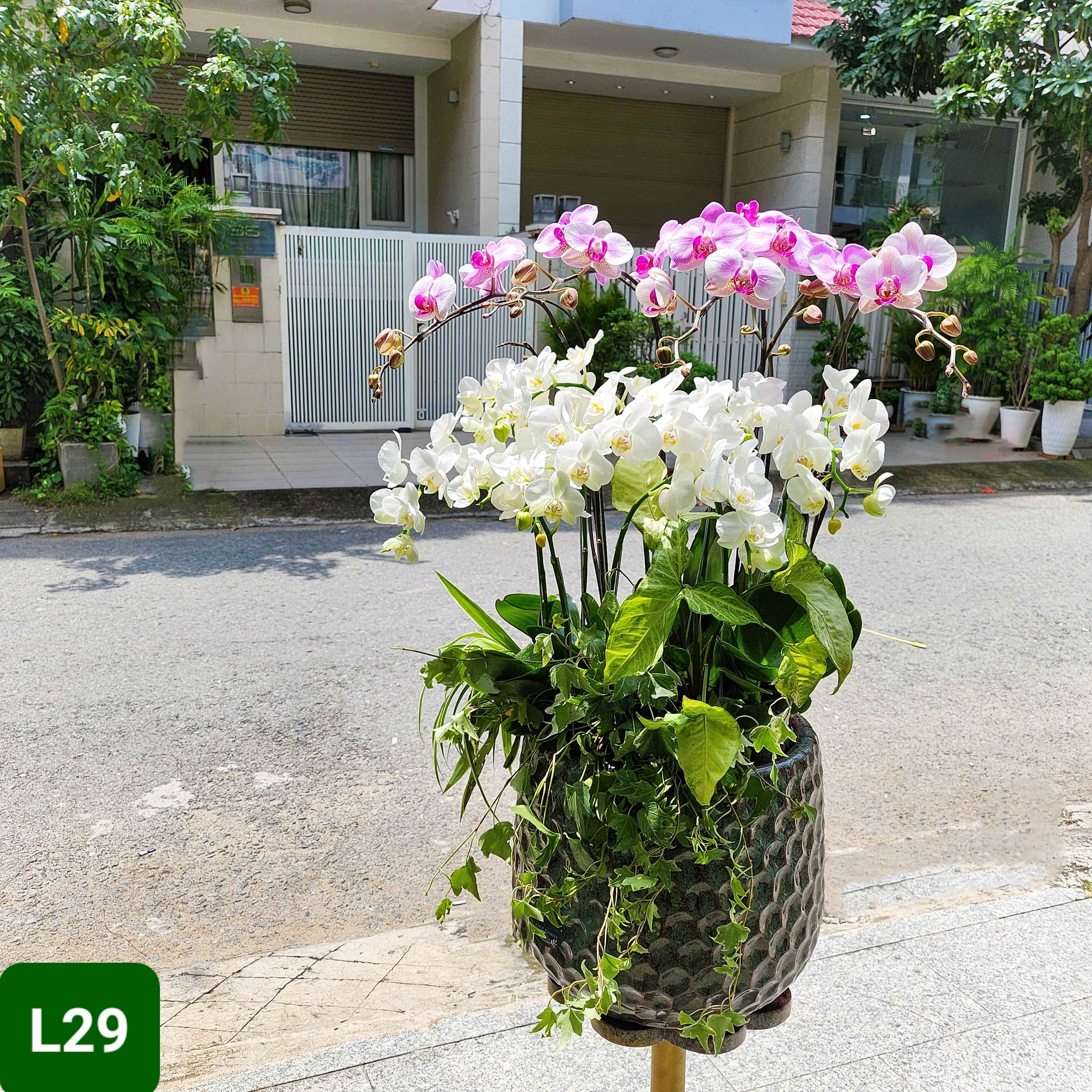 L29 Thiết kế Sang Trọng