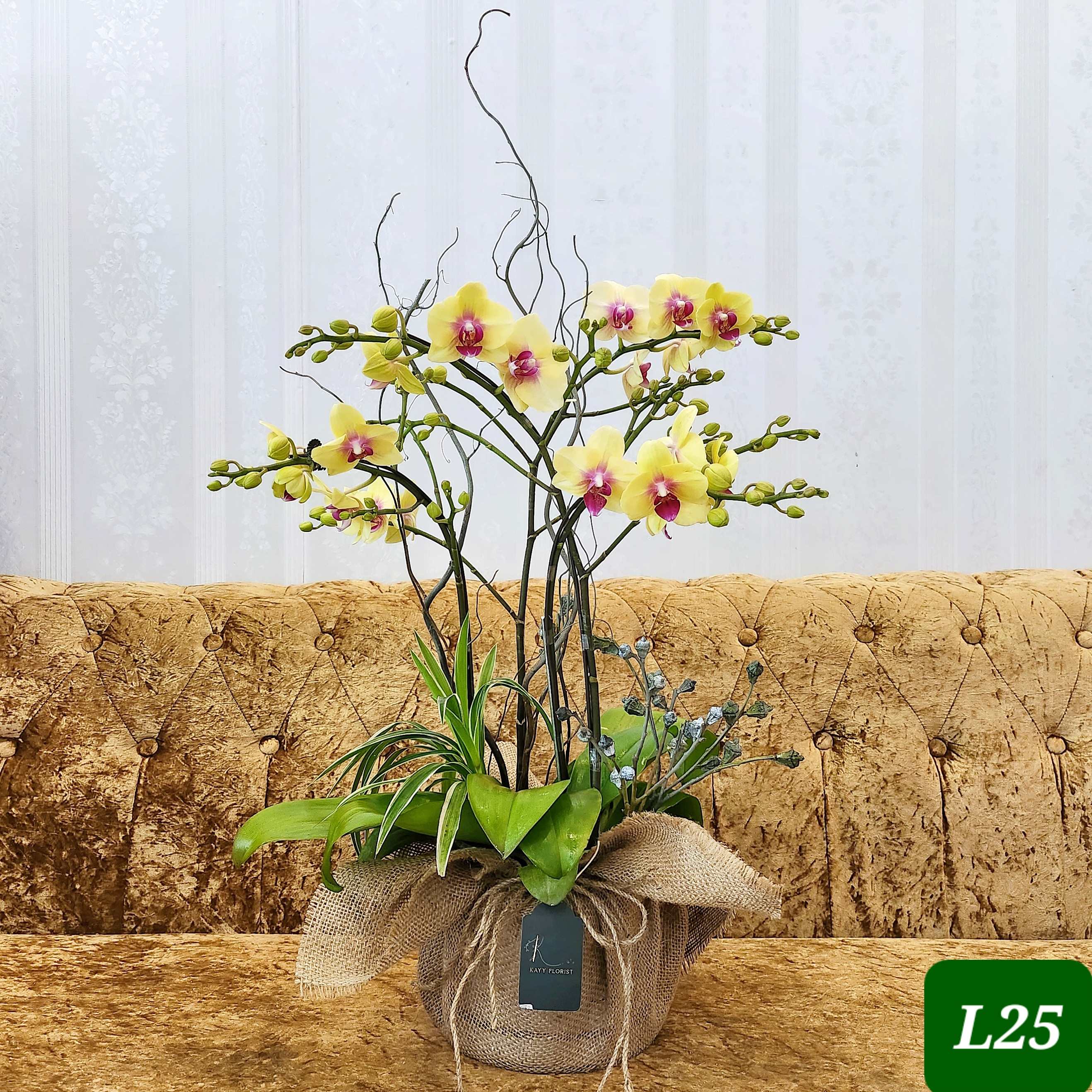 L25 Thiết kế Sang Trọng