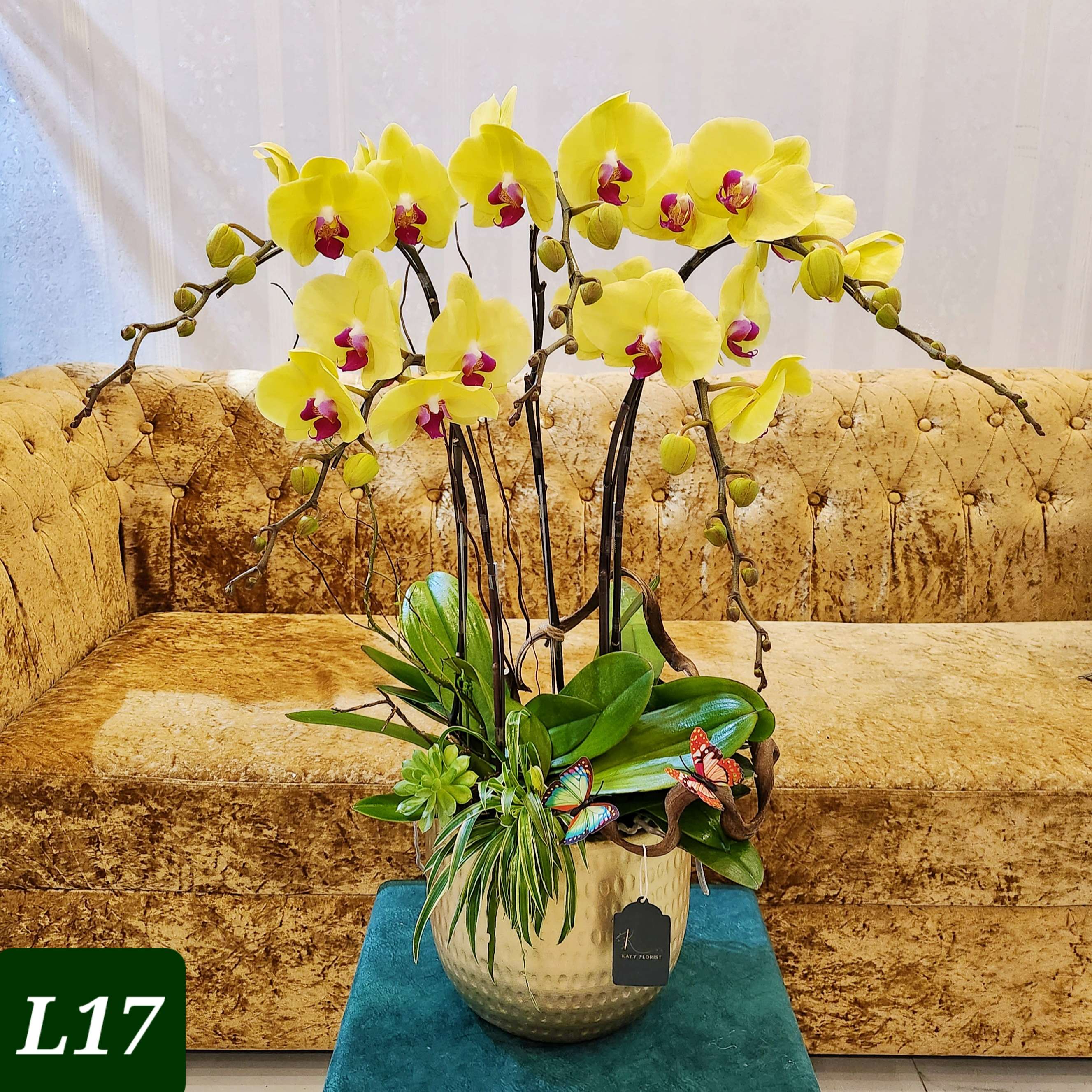 L17 Thiết kế Sang Trọng