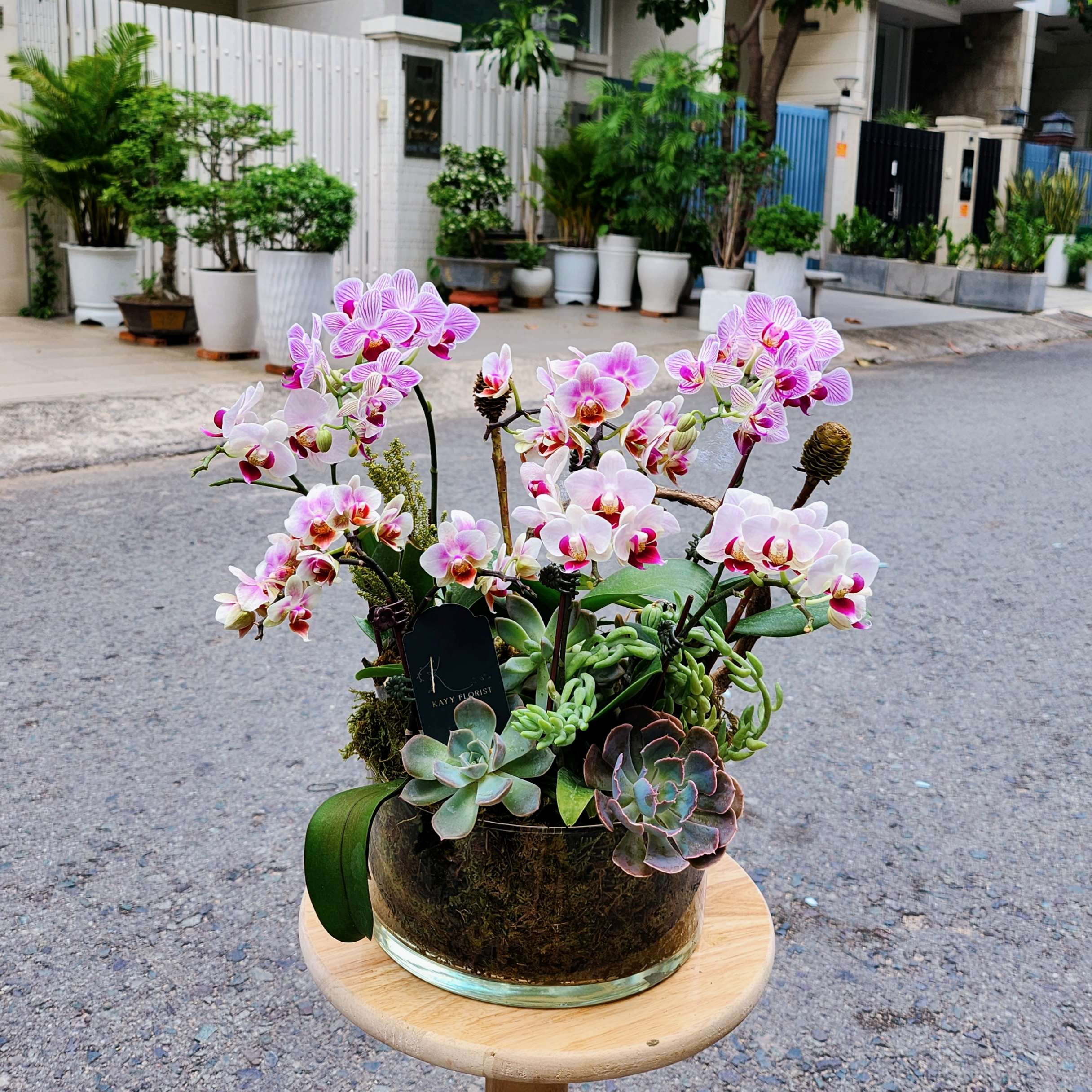 L6 Thiết kế Sang Trọng