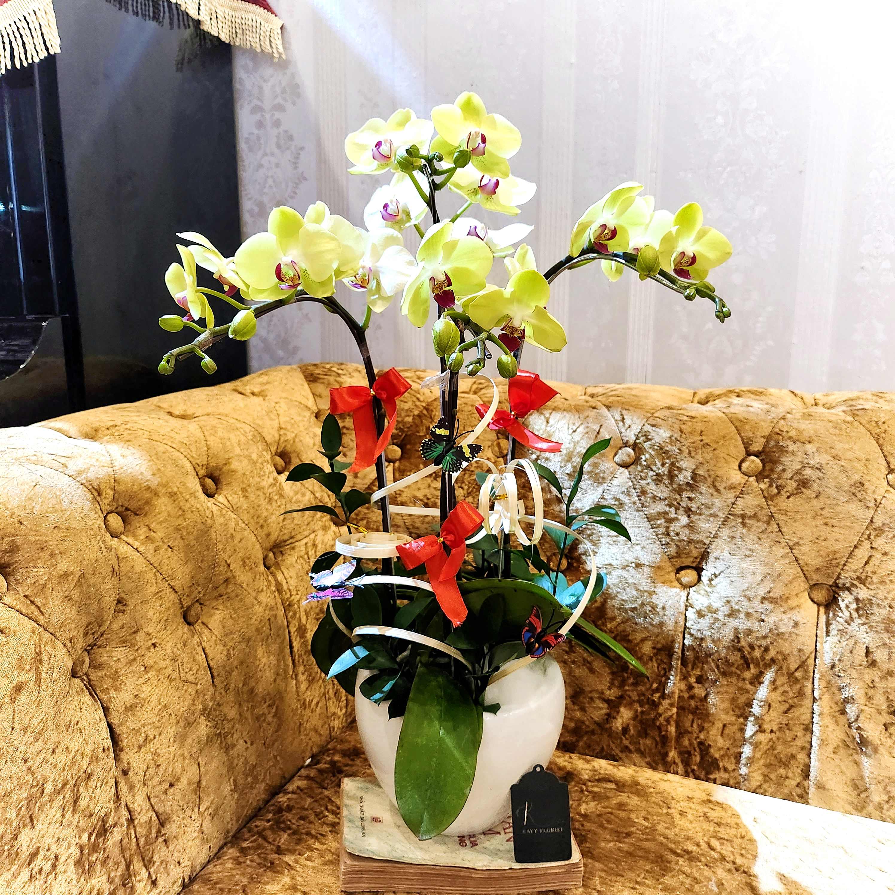 L3 Thiết kế Truyền Thống