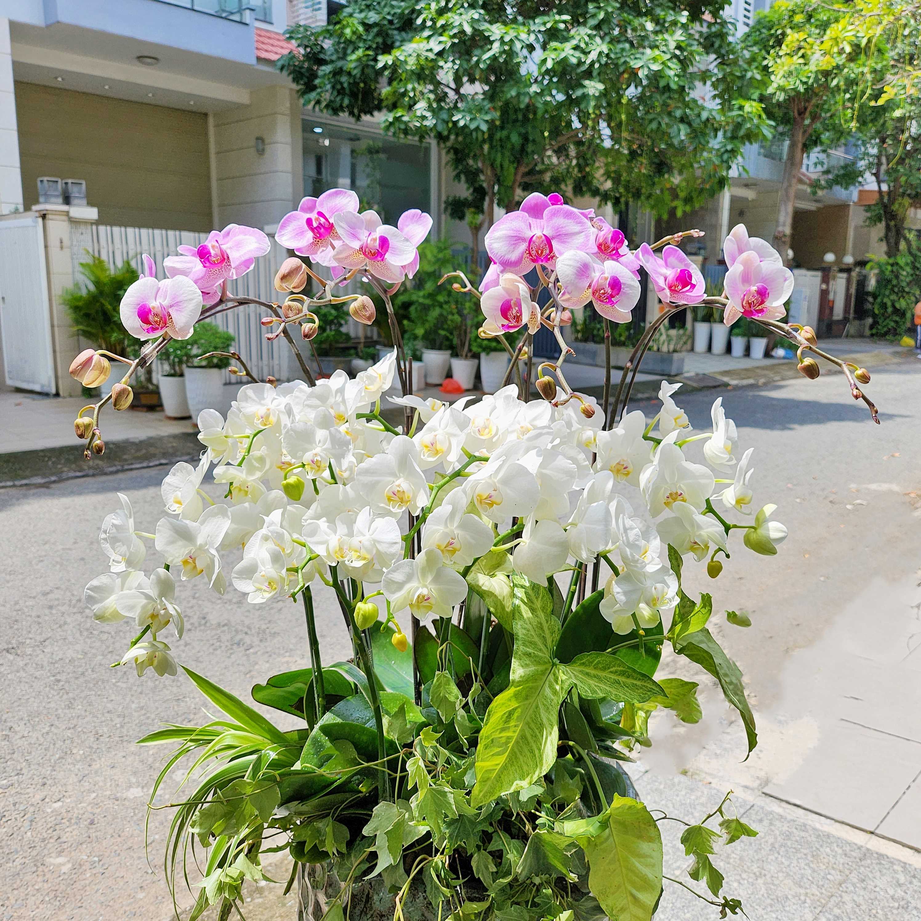L29 Thiết kế Sang Trọng