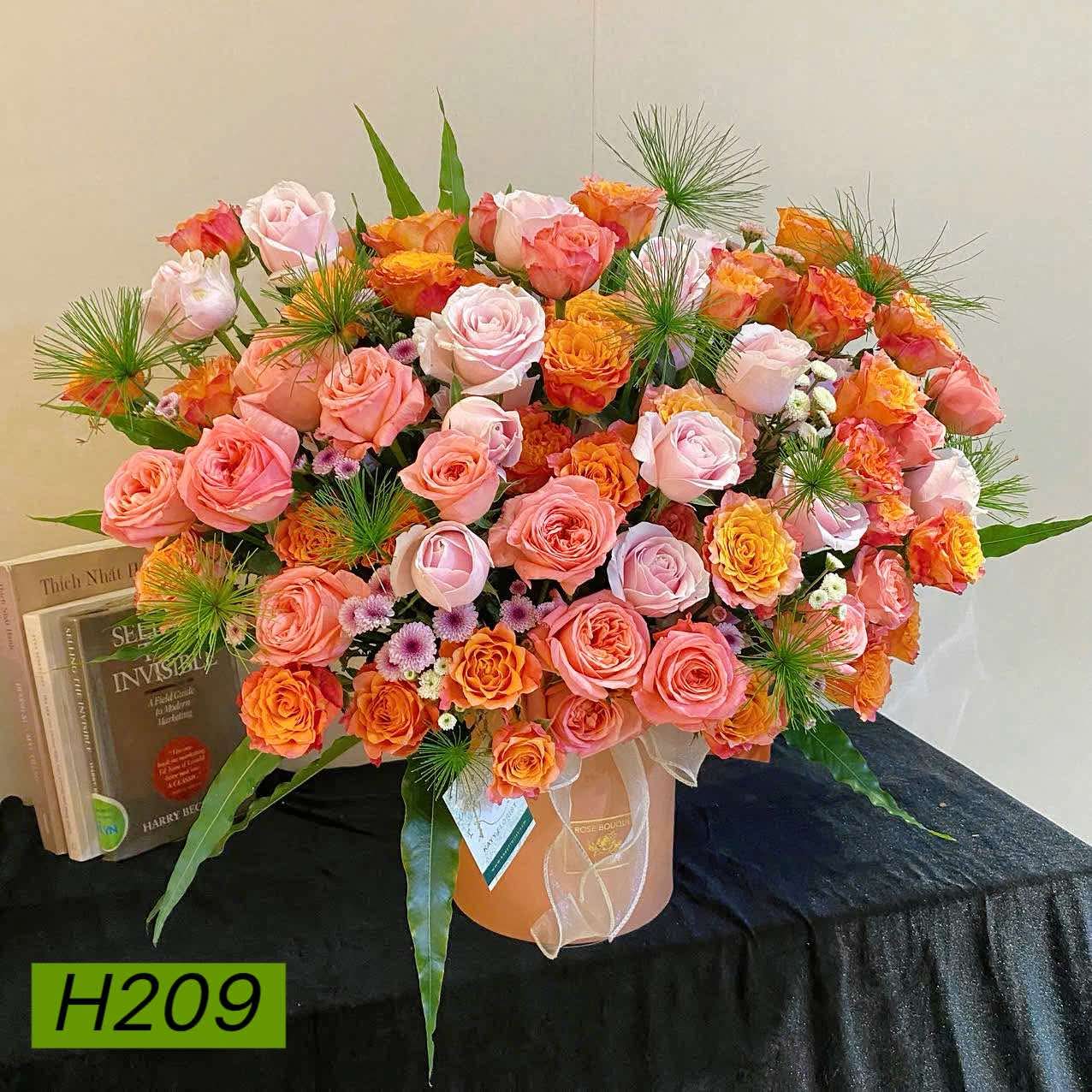 H209