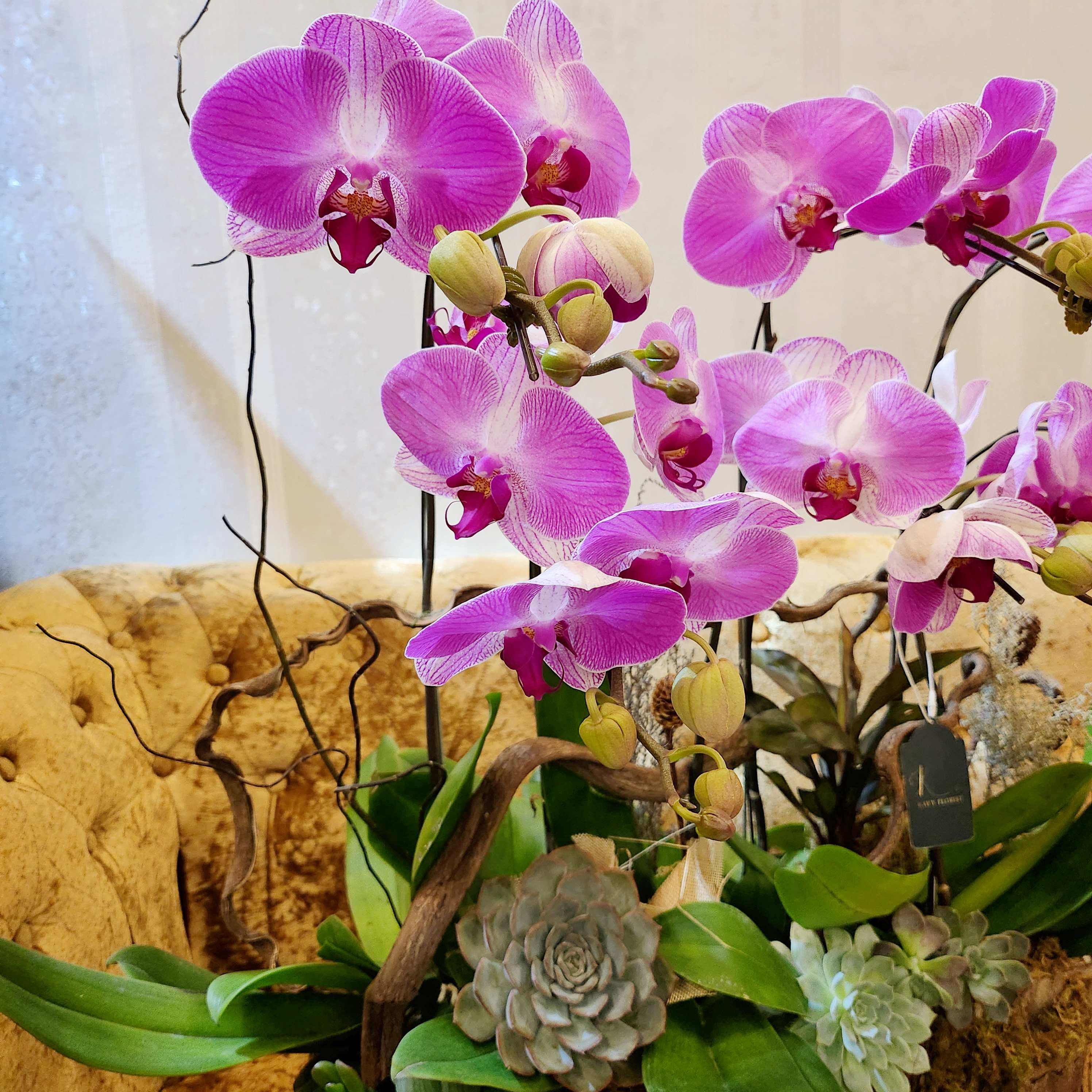 L9 Thiết kế Sang Trọng