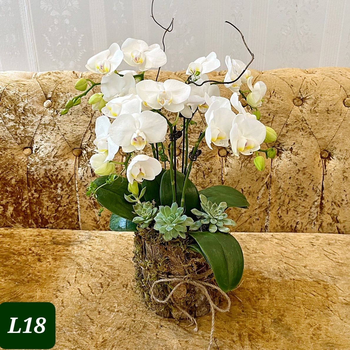 L18 Thiết kế Sang Trọng
